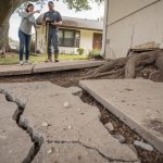 Tree Root Damage Liability: Who Pays for the Damages