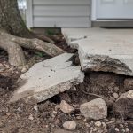 Tree Roots Near Porch: Legal Liability and Repair Options