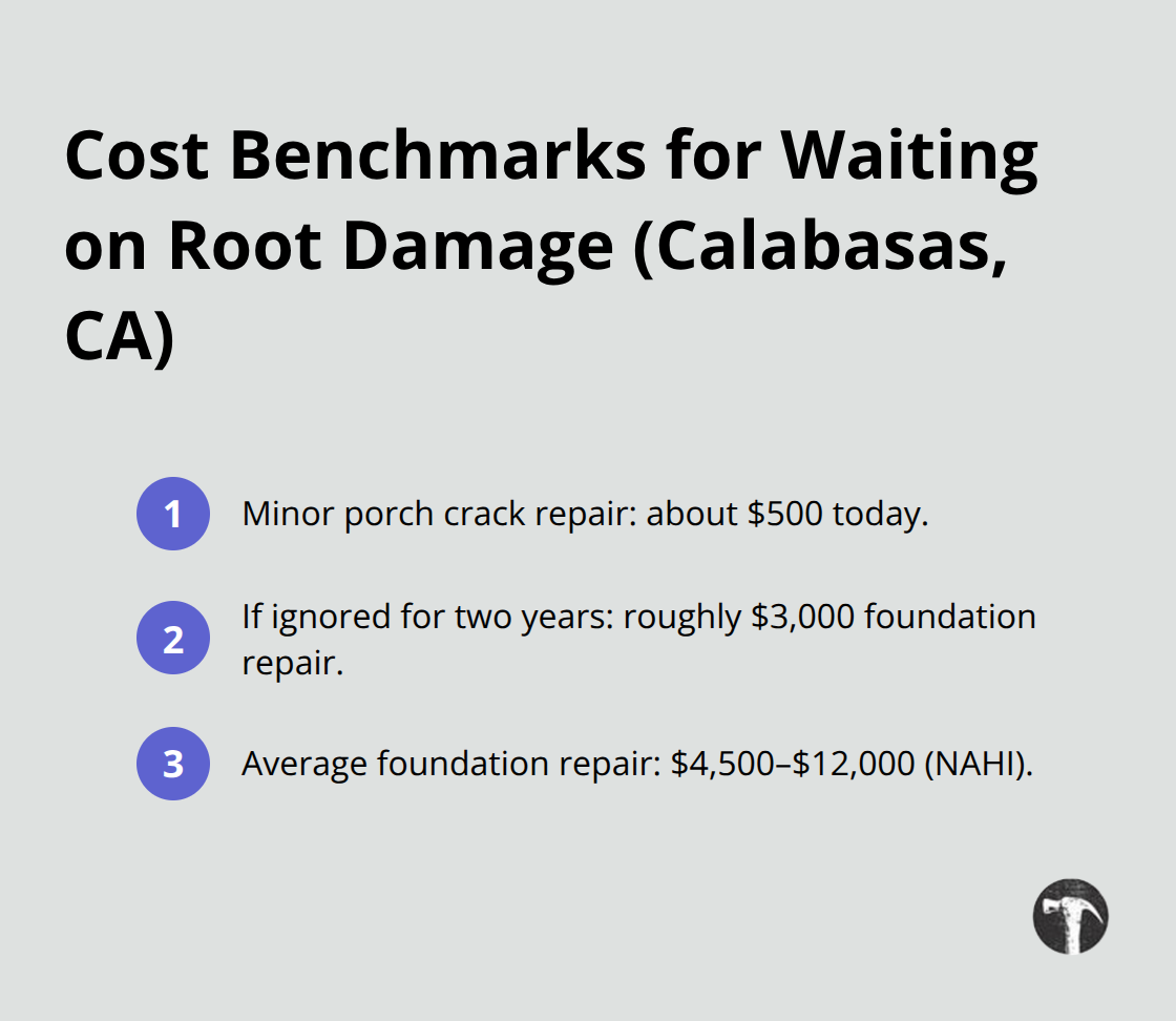 Key repair cost benchmarks for tree root damage if you wait to fix problems - Tree roots near porch